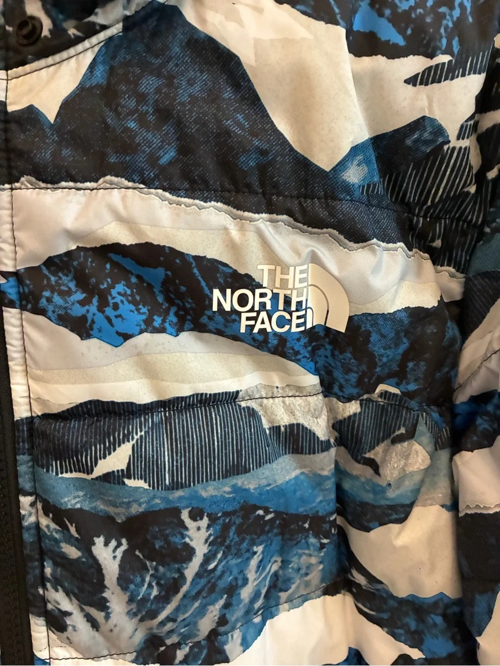 The North Face Kids Blue, Navy & White Mountain-Print Puffer Jacket